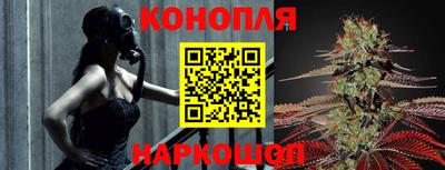 сатива Гусь-Хрустальный