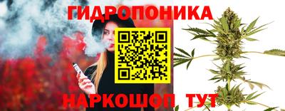 стафф Гай