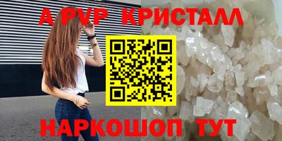 стафф Гай
