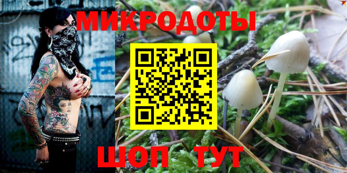 Псилоцибиновые грибы мицелий Рузаевка